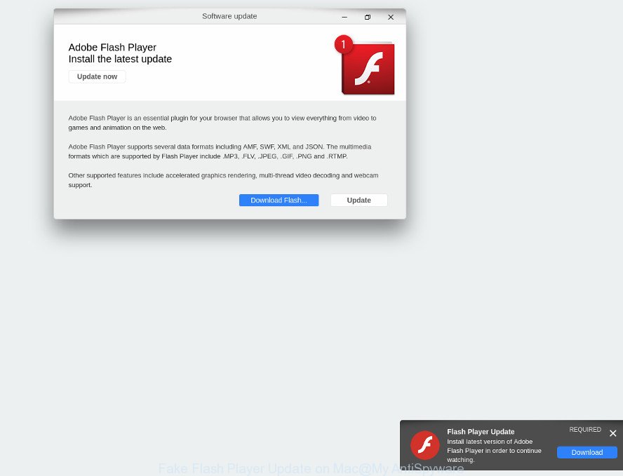 download and install adobe flash player for mac